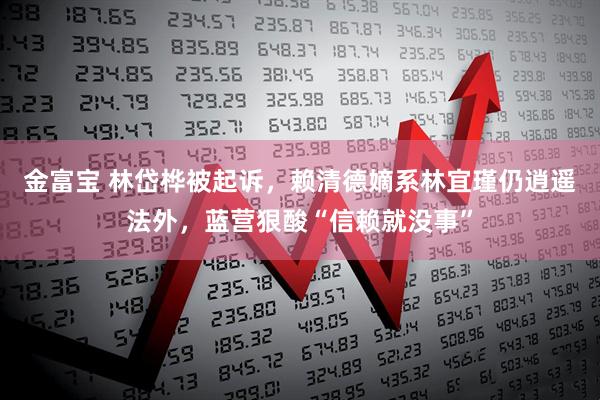 金富宝 林岱桦被起诉，赖清德嫡系林宜瑾仍逍遥法外，蓝营狠酸“信赖就没事”