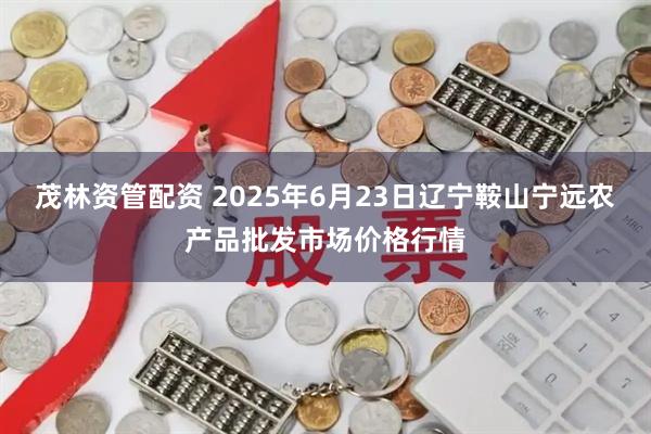 茂林资管配资 2025年6月23日辽宁鞍山宁远农产品批发市场价格行情