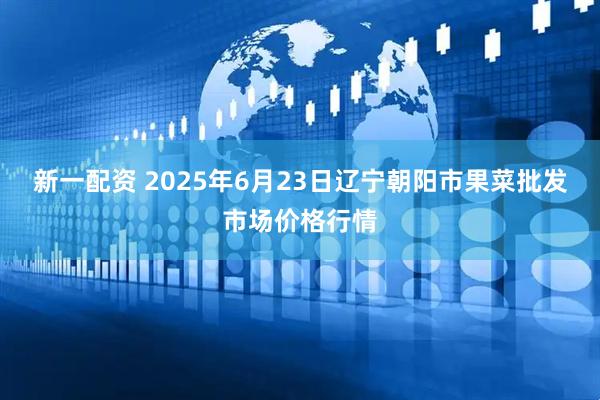 新一配资 2025年6月23日辽宁朝阳市果菜批发市场价格行情