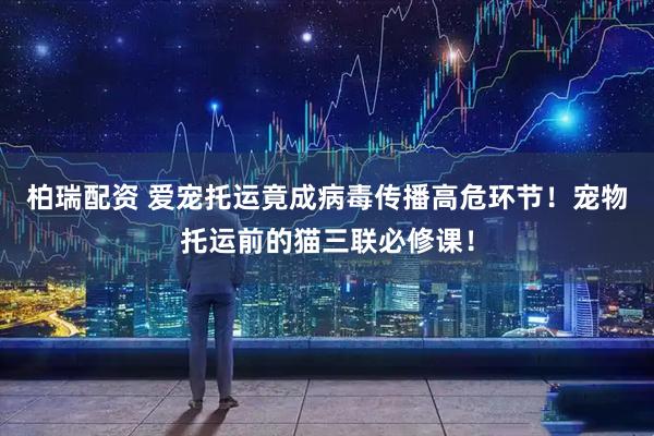 柏瑞配资 爱宠托运竟成病毒传播高危环节!宠物托运前的猫三联必修课!