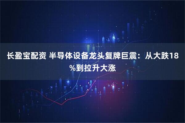 长盈宝配资 半导体设备龙头复牌巨震：从大跌18%到拉升大涨